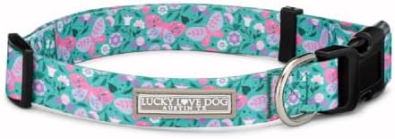 Lucky Love Dog Collar for Medium Dogs Cute Adjustable – Mariposa, Medium