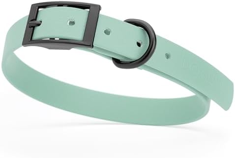 Dogline Biothane Waterproof Dog Collar Strong Coated Nylon Webbing with Black Hardware Odor- Proof for Easy Care Easy to Clean High Performance Fits Small Medium or Large Dogs, Sage Green