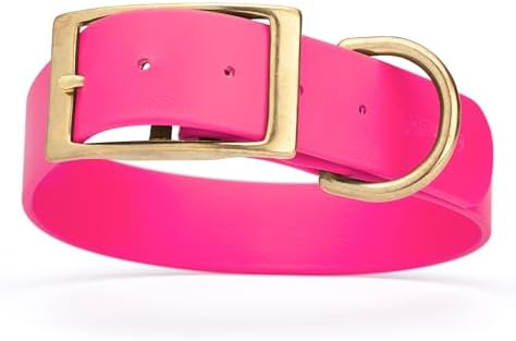 Viper Biothane Heavy Duty Waterproof Dog Collar Strong Coated Nylon Webbing w/Solid Brass Hardware Odor-Proof Easy to Clean High Performance Fits Small Medium or Large Dogs, Passionfruit Pink