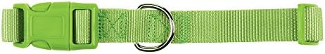 Zack & Zoey ⅝" Wide Nylon Dog Collar, Fits Necks 10" to 16", Parrot Green
