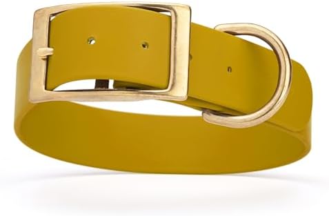 Viper Biothane Heavy Duty Waterproof Dog Collar Strong Coated Nylon Webbing w/Solid Brass Hardware Odor-Proof Easy to Clean High Performance Fits Small Medium or Large Dogs, Treasure Gold