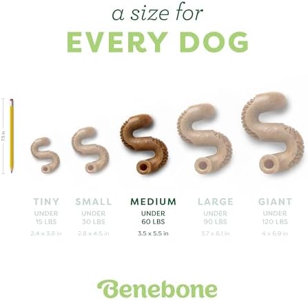 Benebone Tripe Bone Durable Dog Chew Toy for Aggressive Chewers, Medium