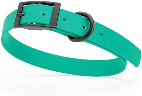 Dogline Biothane Waterproof Dog Collar Strong Coated Nylon Webbing with Black Hardware Odor- Proof for Easy Care Easy to Clean High Performance Fits Small Medium or Large Dogs, Teal