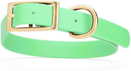 Viper Biothane Heavy Duty Waterproof Dog Collar Strong Coated Nylon Webbing w/Solid Brass Hardware Odor-Proof for Easy Care to Clean High Performance Fits Small Medium or Large Dogs, Sea Foam Green