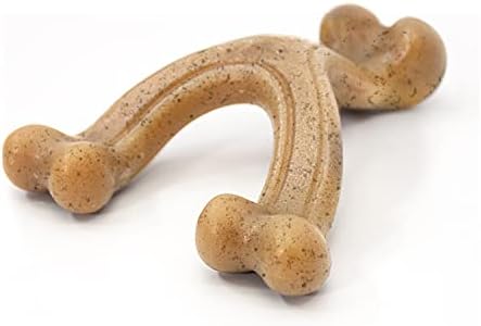 Nylabone Strong Chew Gourmet Style Wishbone Dog Chew Toy, Chicken Flavor
