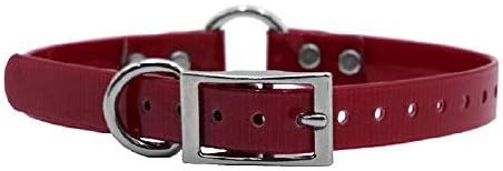 Waterproof D & Center Ring Dog Collar w Custom Name Tag 3/4x15, Burgundy