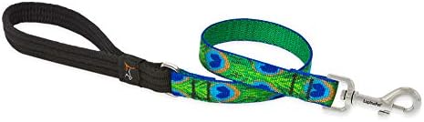 LupinePet Originals 3/4" Tail Feathers 2-Foot Traffic Lead/Leash for Medium and Larger Dogs