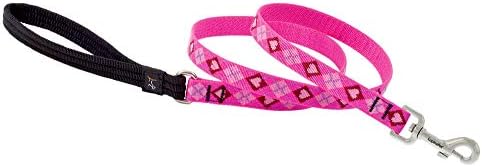 LupinePet Originals 3/4" Puppy Love 6-Foot Padded Handle Leash for Medium and Larger Dogs