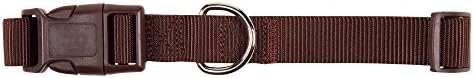 Zack & Zoey ⅜" Wide Nylon Dog Collar, Fits Necks 6" to 10", Chocolate Brown