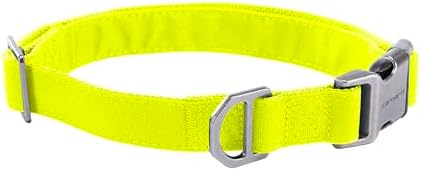 Carhartt Field Nylon Dog Collar Brite Lime Large