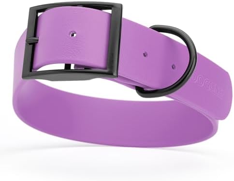 Dogline Biothane Waterproof Dog Collar Strong Coated Nylon Webbing with Black Hardware Odor- Proof for Easy Care Easy to Clean High Performance Fits Small Medium or Large Dogs, Amethyst Purple