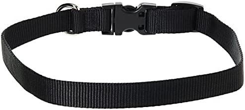 LupinePet Basics 3/4" Black 13-22" Adjustable Collar for Medium and Larger Dogs