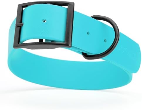 Dogline Biothane Waterproof Dog Collar Strong Coated Nylon Webbing with Black Hardware Odor- Proof for Easy Care Easy to Clean High Performance Fits Small Medium or Large Dogs, Sky Blue