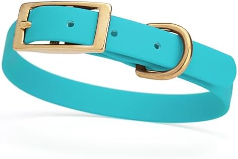 Viper Biothane Heavy Duty Waterproof Dog Collar Strong Coated Nylon Webbing w/Solid Brass Hardware Odor-Proof Easy to Clean High Performance Fits Small Medium or Large Dogs, Sky Blue