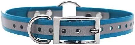 Reflective D & Center Ring Dog Collar w Custom Name Tag 3/4x15, Teal