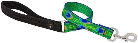 LupinePet Originals 1" Tail Feathers 2-Foot Traffic Lead/Leash for Medium and Larger Dogs