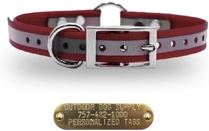 Reflective D & Center Ring Dog Collar w Custom Name Tag 3/4x15, Burgundy