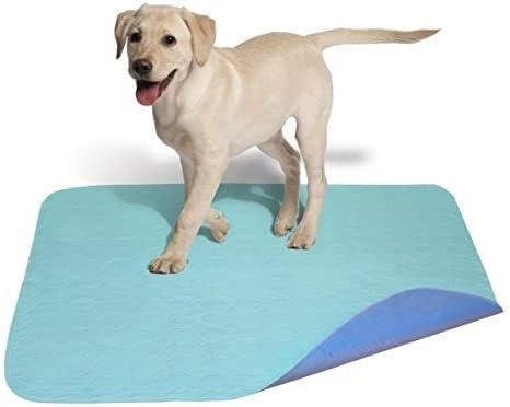 Careoutfit 45 x 36 - Large Laminated Polyurethane Waterproof Reusable/Quilted Washable Large Dog/Puppy Training Travel Pee Pads/Dog Bed Mat