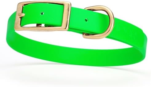 Viper Biothane Heavy Duty Waterproof Dog Collar Strong Coated Nylon Webbing w/Solid Brass Hardware Odor-Proof Easy to Clean High Performance Fits Small Medium or Large Dogs, Tropical Green