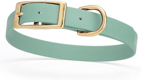 Viper Biothane Heavy Duty Waterproof Dog Collar Strong Coated Nylon Webbing w/Solid Brass Hardware Odor-Proof Easy to Clean High Performance Fits Small Medium or Large Dogs, Sage Green