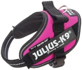 Julius-K9, 16IDC-DPN-MM, IDC Powerharness, Dog Harness, Size: Mini-Mini, Dark Pink