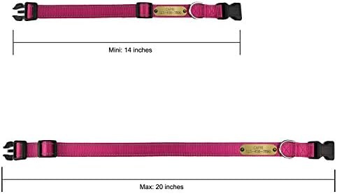 SINYUDUN Personalized Reflective Dog Collars with Customized ID Tags