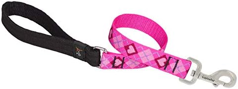LupinePet Originals 1" Puppy Love 2-Foot Traffic Lead/Leash for Medium and Larger Dogs