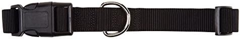 Zack & Zoey ⅝" Wide Nylon Dog Collar, Fits Necks 10" to 16", Jet Black