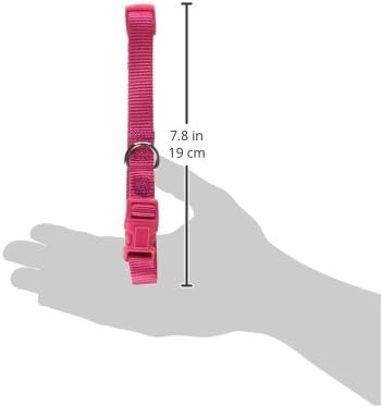 Zack & Zoey ⅝" Wide Nylon Dog Collar, Fits Necks 14" to 20", Raspberry Sorbet