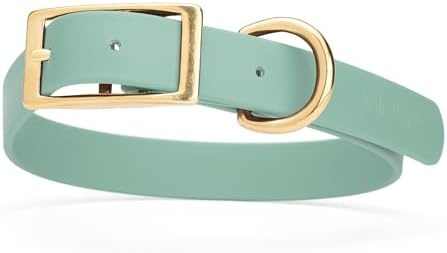 Viper Biothane Heavy Duty Waterproof Dog Collar Strong Coated Nylon Webbing w/Solid Brass Hardware Odor-Proof Easy to Clean High Performance Fits Small Medium or Large Dogs, Sage Green