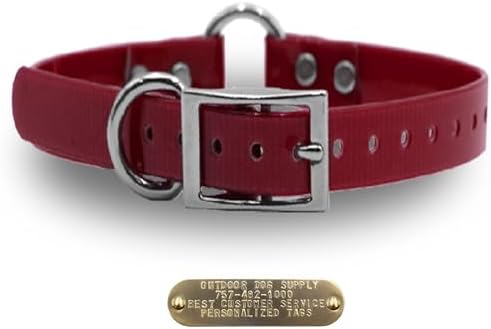 Heavy Duty D-Ring & Center Ring Dog Collar w Custom Name Tag, Burgundy 18"