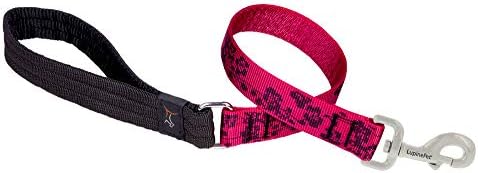 LupinePet Originals 1" Plum Blossom 2-Foot Traffic Lead/Leash for Medium and Larger Dogs