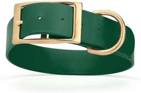 Viper Biothane Heavy Duty Waterproof Dog Collar Strong Coated Nylon Webbing w/Solid Brass Hardware Odor-Proof Easy to Clean High Performance Fits Small Medium or Large Dogs, Hunter Green