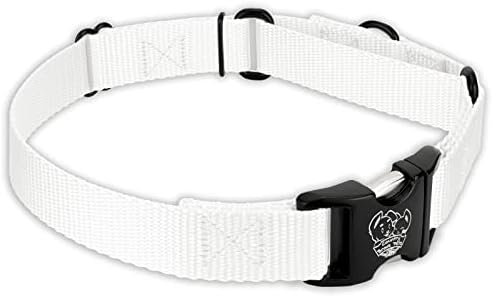 Country Brook Petz - Martingale Dog Collar - Heavy Duty Nylon Adjustable Martingale Dog Collar with Metal Buckle for Small Medium Large Breeds - 30+ Color Options (5/8 Inch, Extra Small, White)