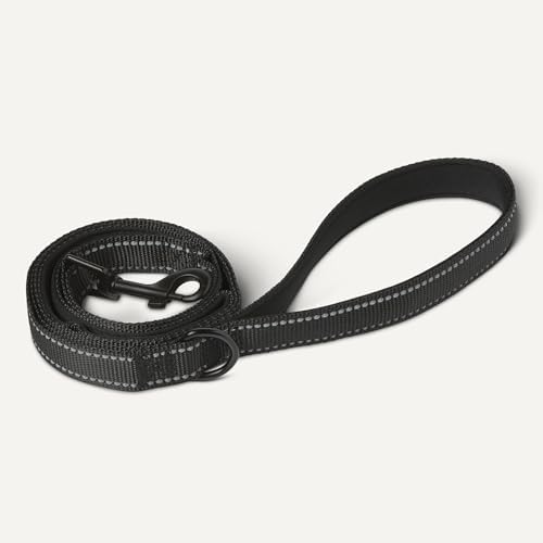 Amazon Basics Dog Leash, 4ft with 2 Comfortable Dual Padded Handles for Traffic Control, Highly Reflective Leashes for Large & Medium Dogs, Night Safety, Easy Snap Hook, Black