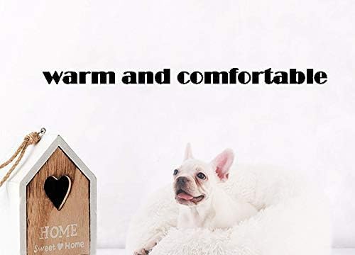 Modern Soft Plush Round Pet Bed for Cats or Small Dogs, Mini Medium Sized Dog Cat Bed Self Warming Autumn Winter Indoor Snooze Sleeping Cozy Kitty Teddy Kennel (20” D x 8'' H, White)