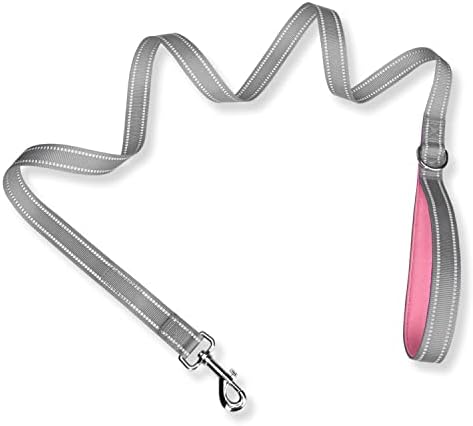 PHOEPET 5 Feet Dog Leash - Dual-Side Reflective - Soft Padded Handle