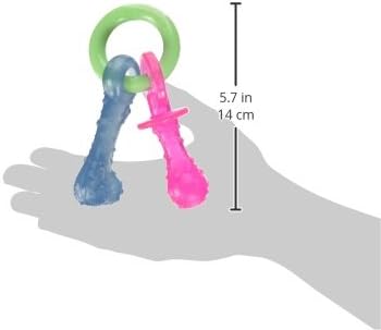 Nylabone Puppy Pacifier Chew Toy, Teething Toys for Puppies up to 25 lbs