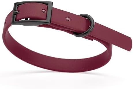 Dogline Biothane Waterproof Dog Collar Strong Coated Nylon Webbing with Black Hardware Odor- Proof for Easy Care Easy to Clean High Performance Fits Small Medium or Large Dogs, Merlot Burgundy