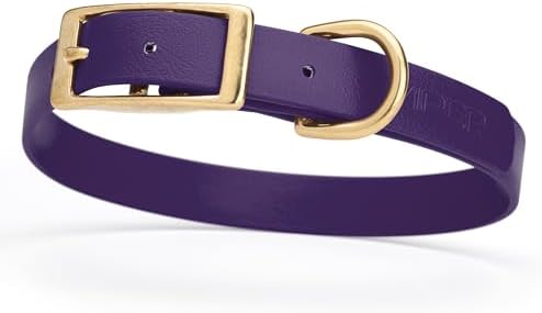 Viper Biothane Heavy Duty Waterproof Dog Collar Strong Coated Nylon Webbing w/Solid Brass Hardware Odor-Proof Easy to Clean High Performance Fits Small Medium or Large Dogs, Violet Purple