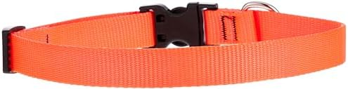 LupinePet Basics 3/4" Blaze Orange 13-22" Adjustable Collar for Medium and Larger Dogs