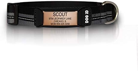 The Rock Solid Collar ID (Rose Gold Black, Small)