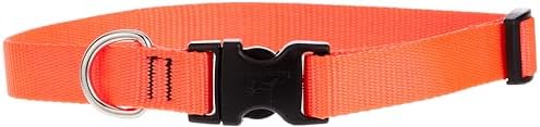 LupinePet Basics 3/4" Blaze Orange 13-22" Adjustable Collar for Medium and Larger Dogs