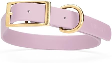 Viper Biothane Heavy Duty Waterproof Dog Collar Strong Coated Nylon Webbing w/Solid Brass Hardware Odor-Proof for Easy Care to Clean High Performance Fits Small Medium or Large Dogs, Pastel Purple