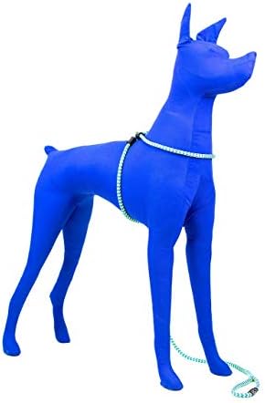 Harness Lead No Pull Dog Harness and Leash Set, Anti Pull Dog Harness, One-Piece Cushioned Rope Safely Prevents Escaping and Pulling (Medium/Large, Peacock/Blue/Lime)