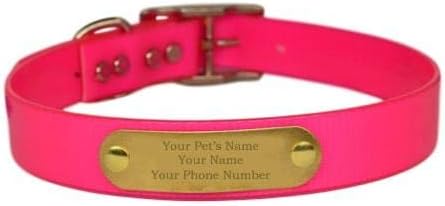 Dayglo Dog Collar with Engraved Brass ID tag USA (21" Fits 15-19" Neck, Pink)