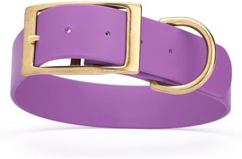 Viper Biothane Heavy Duty Waterproof Dog Collar Strong Coated Nylon Webbing w/Solid Brass Hardware Odor-Proof for Easy Care to Clean High Performance Fits Small Medium or Large Dogs, Amethyst Purple