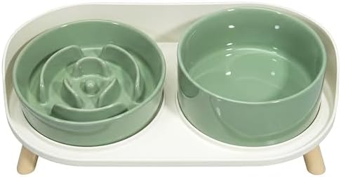Elevated Slow Feeder Dog Bowls with Splash Proof Stand, Slow Eating 5X