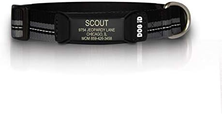 The Rock Solid Collar ID (Graphite Black, Small)