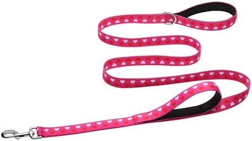 Hikiko 6FT Dog Leash Padded Double Handle with Designed Pattern